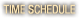 Time Schedule